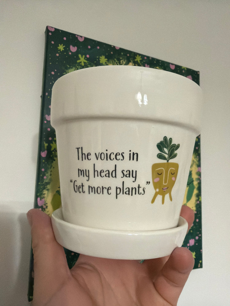 Witty Planter - Voices