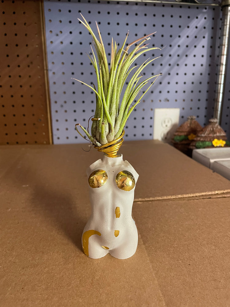 Body Airplant/ Mini plant holder