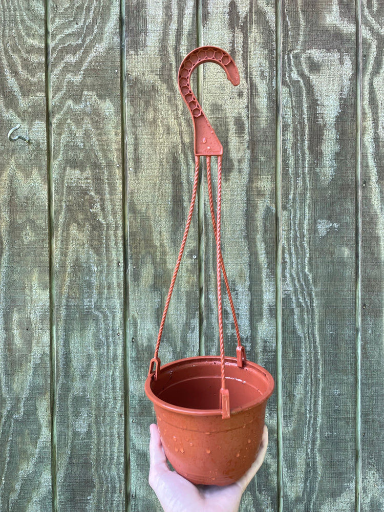 6” used HB