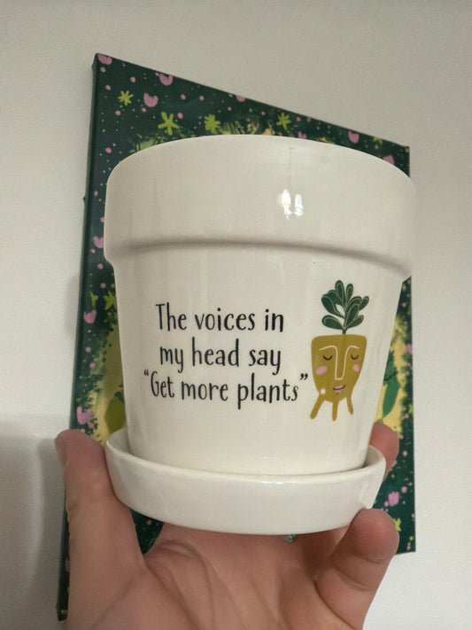 Witty Planter - Voices