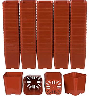3 plastic plant pots Plastic 3" Pots