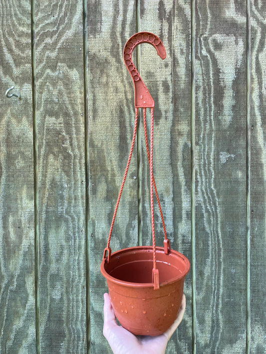 6” used HB