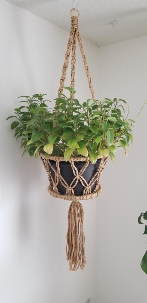 Large Macrame hanger #2 Plant/Pot not included - Accessories
